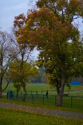 DavisArtCenter_040_1024.jpg
