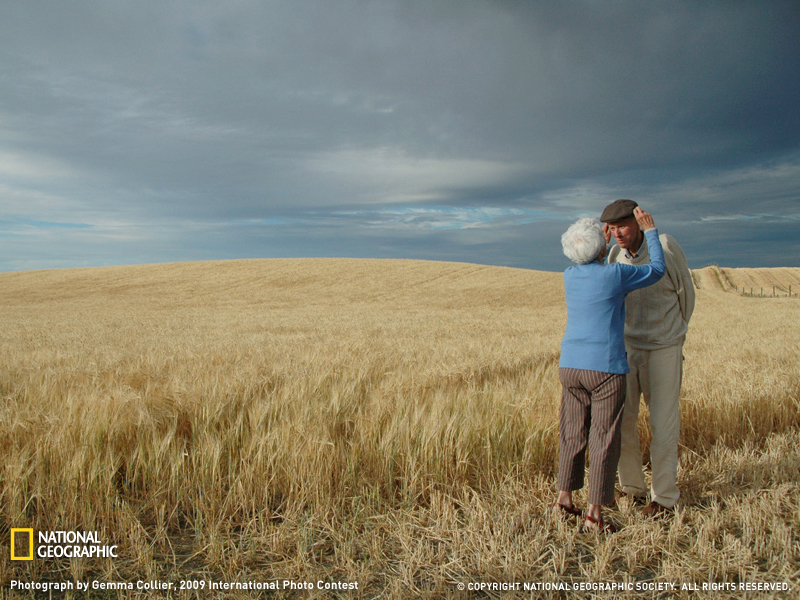 barley-new-zealand-sw.jpg